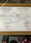 ảnh đính kèm của gia sư