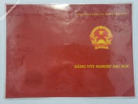 ảnh đính kèm của gia sư