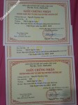 ảnh đính kèm của gia sư