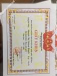 ảnh đính kèm của gia sư
