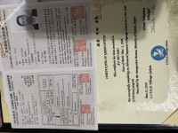 ảnh đính kèm của gia sư