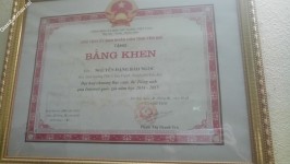 ảnh đính kèm của gia sư