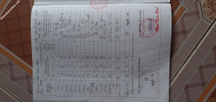 ảnh đính kèm của gia sư