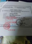 ảnh đính kèm của gia sư