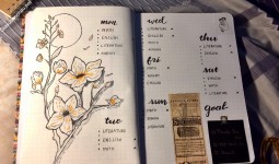 ảnh đính kèm của gia sư