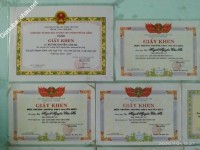 ảnh đính kèm của gia sư