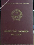 ảnh đính kèm của gia sư