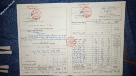 ảnh đính kèm của gia sư