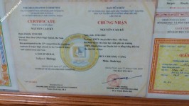 ảnh đính kèm của gia sư