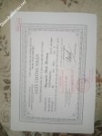 ảnh đính kèm của gia sư