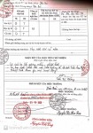 ảnh đính kèm của gia sư