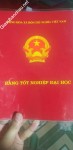 ảnh đính kèm của gia sư