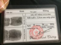 ảnh đính kèm của gia sư
