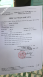 ảnh đính kèm của gia sư