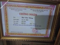 ảnh đính kèm của gia sư