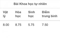 ảnh đính kèm của gia sư