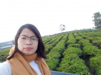 ảnh đính kèm của gia sư