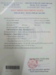ảnh đính kèm của gia sư