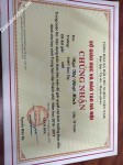 ảnh đính kèm của gia sư