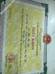 ảnh đính kèm của gia sư