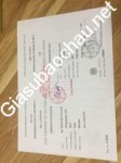 ảnh đính kèm của gia sư