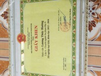 ảnh đính kèm của gia sư