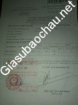 ảnh đính kèm của gia sư