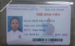 ảnh đính kèm của gia sư
