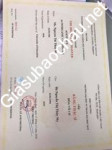 ảnh đính kèm của gia sư