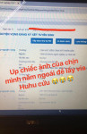 ảnh đính kèm của gia sư