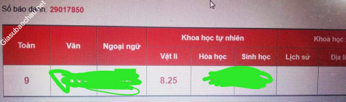 ảnh đính kèm của gia sư