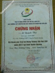 ảnh đính kèm của gia sư