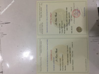 ảnh đính kèm của gia sư