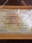 ảnh đính kèm của gia sư