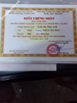 ảnh đính kèm của gia sư
