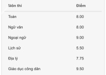 ảnh đính kèm của gia sư