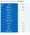 ảnh đính kèm của gia sư
