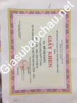 ảnh đính kèm của gia sư