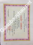 ảnh đính kèm của gia sư