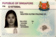 ảnh đính kèm của gia sư