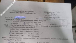 ảnh đính kèm của gia sư