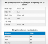 ảnh đính kèm của gia sư