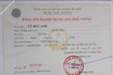 ảnh đính kèm của gia sư
