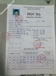 ảnh đính kèm của gia sư