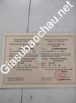ảnh đính kèm của gia sư