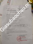 ảnh đính kèm của gia sư