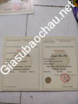 ảnh đính kèm của gia sư
