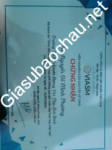 ảnh đính kèm của gia sư