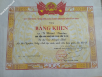ảnh đính kèm của gia sư