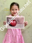 ảnh đính kèm của gia sư